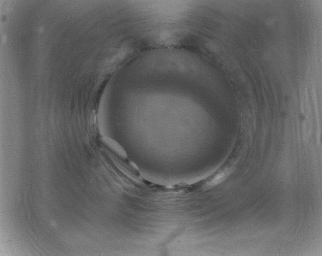 X0000075900624200609221938