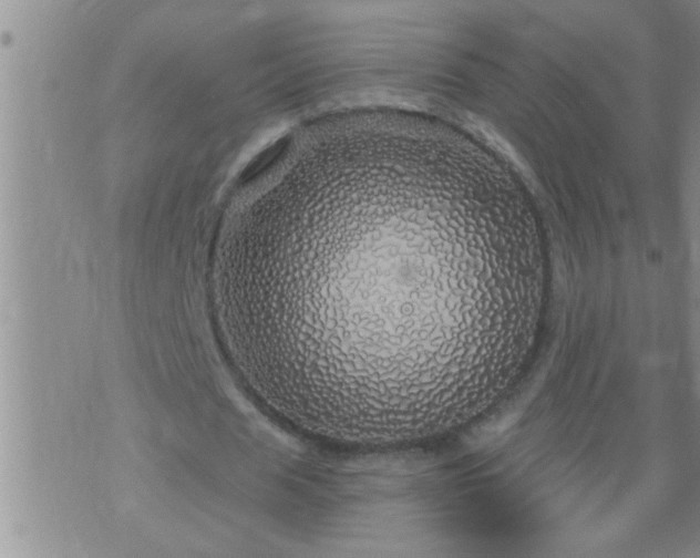 X0000075900625200609221937