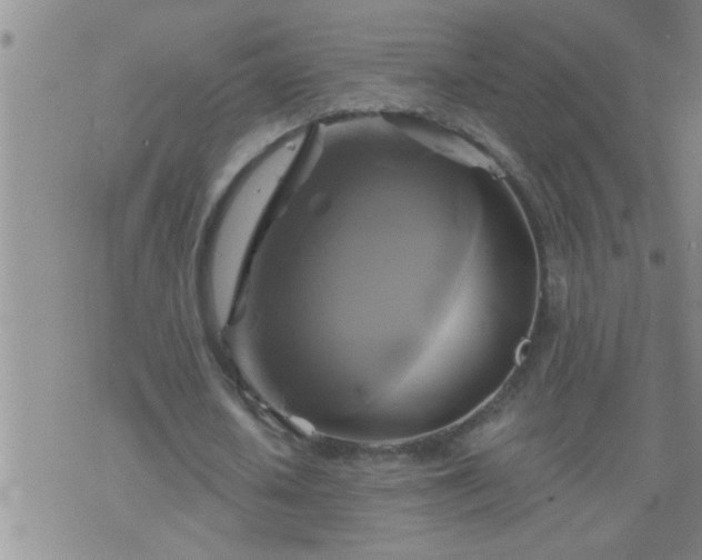 X0000075900626200609221937