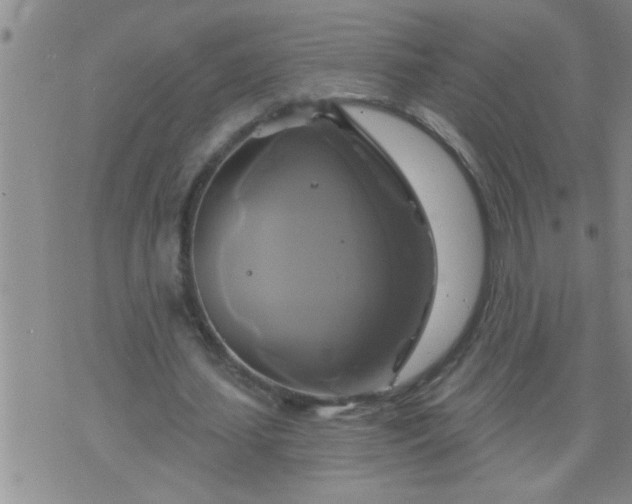 X0000075900627200609221937