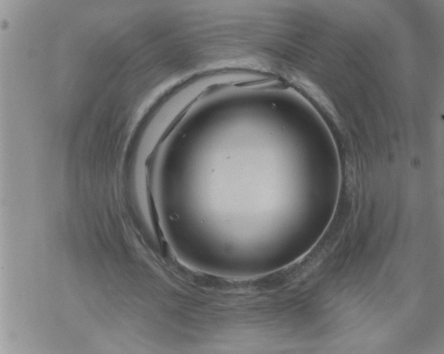 X0000075900628200609221937