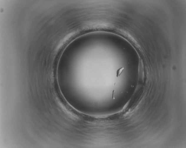 X0000075900629200609221937