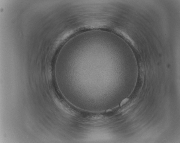 X0000075900631200609221937