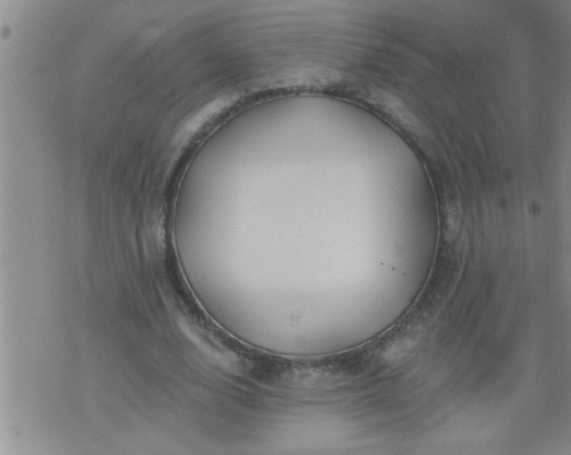 X0000075900632200609221937