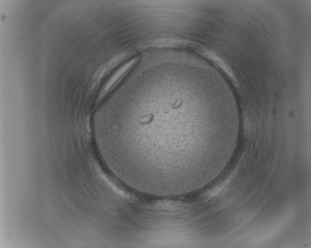 X0000075900633200609221937