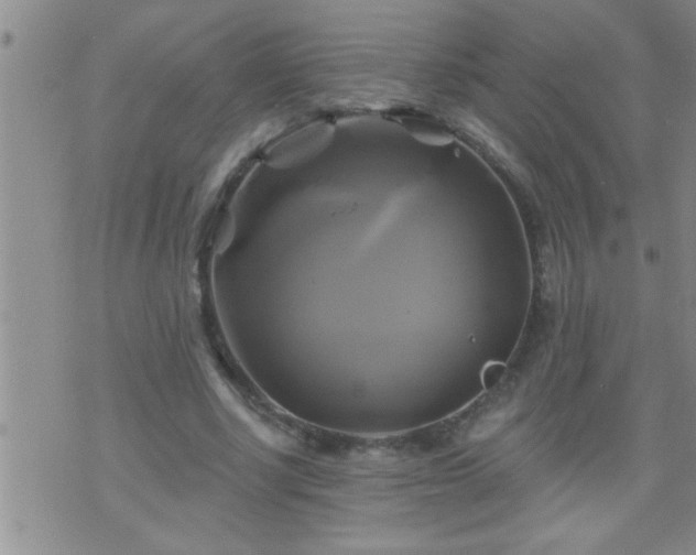 X0000075900634200609221937