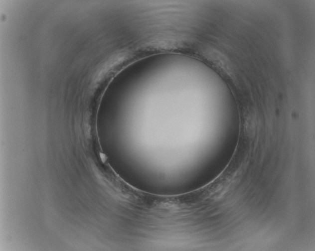 X0000075900635200609221937