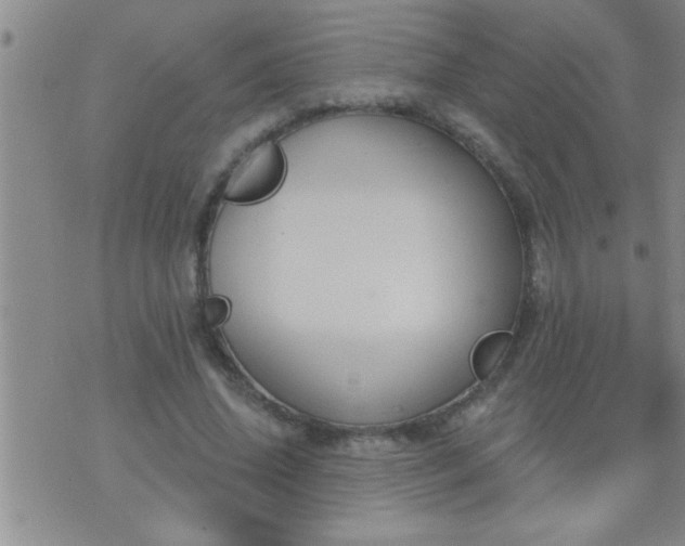 X0000075900636200609221937