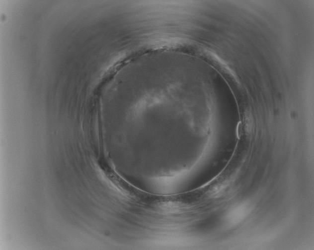 X0000075900637200609221937