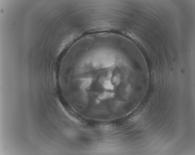 X0000075900638200609221937