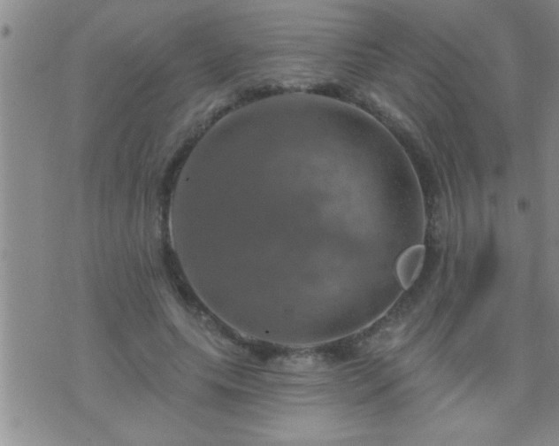 X0000075900639200609221938