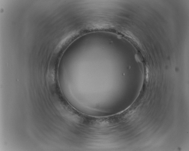 X0000075900640200609221938