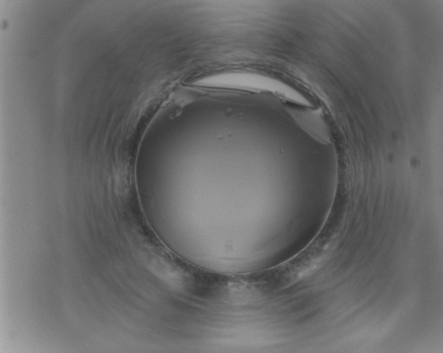 X0000075900641200609221938