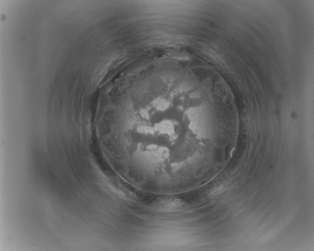 X0000075900642200609221938