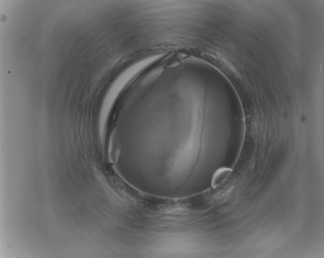 X0000075900643200609221938