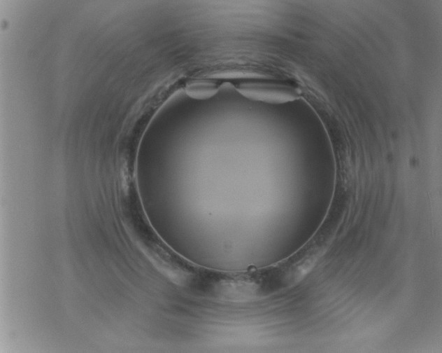 X0000075900644200609221938