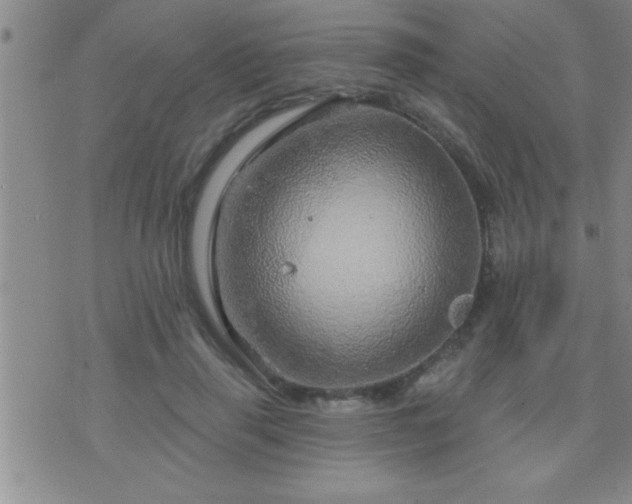 X0000075900645200609221938