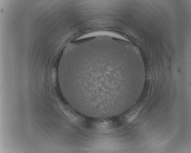 X0000075900646200609221938