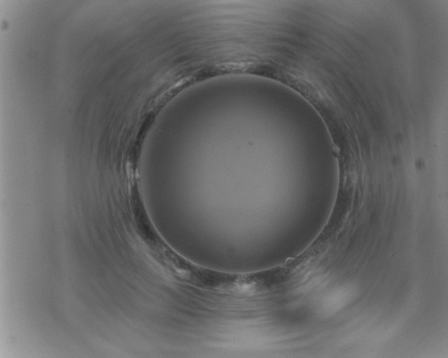 X0000075900647200609221938