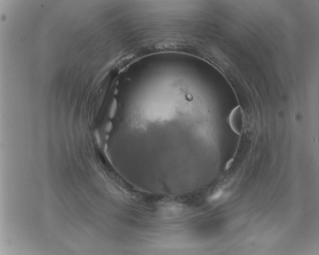 X0000075900648200609221938