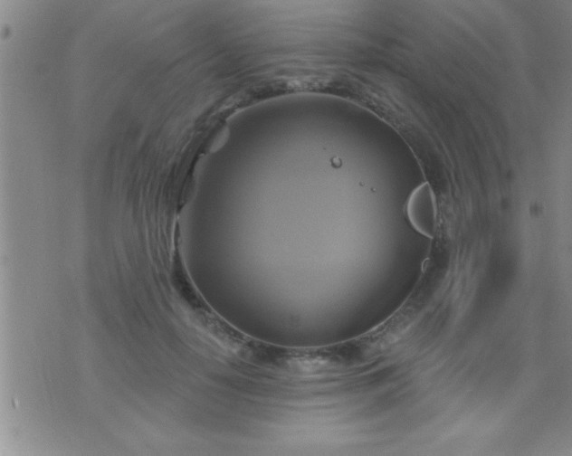 X0000075900650200609221938