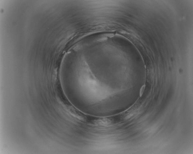 X0000075900652200609221938