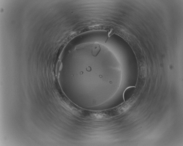 X0000075900654200609221938