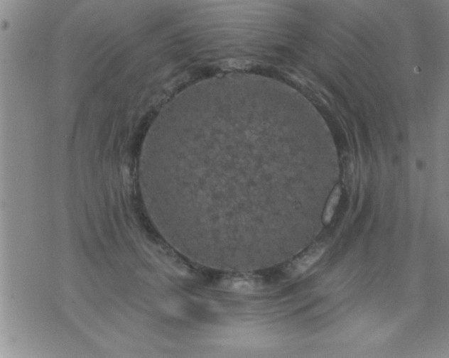 X0000075900655200609221938