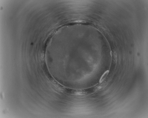 X0000075900657200609221938