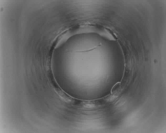 X0000075900658200609221938