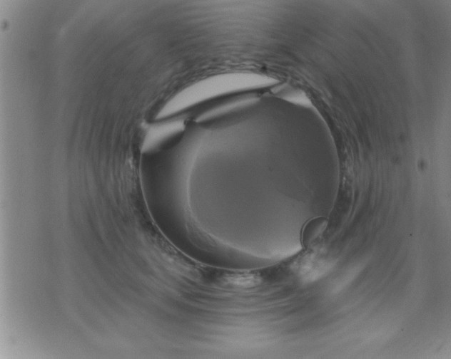 X0000075900659200609221938