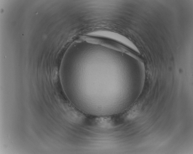 X0000075900660200609221938