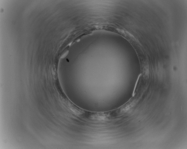 X0000075900661200609221938