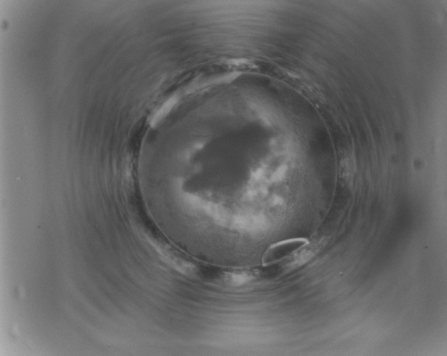 X0000075900662200609221938