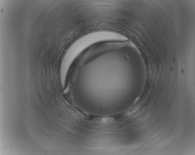 X0000075900663200609221938