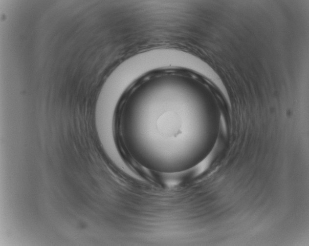 X0000075900664200609221938