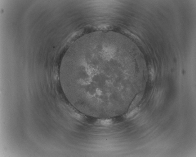 X0000075900665200609221938