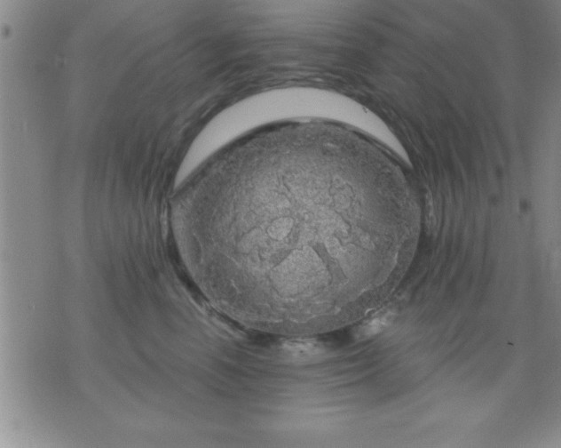 X0000075900666200609221938