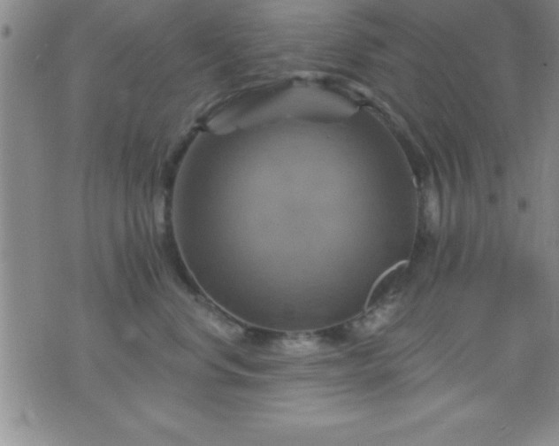 X0000075900668200609221938