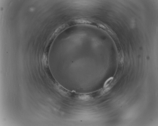 X0000075900669200609221938