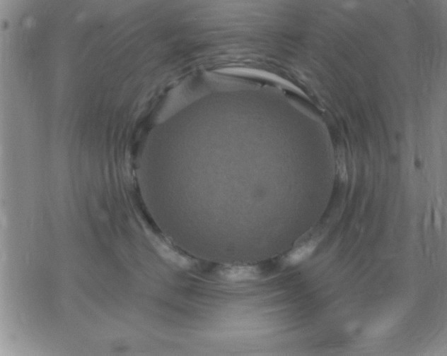 X0000075900670200609221938