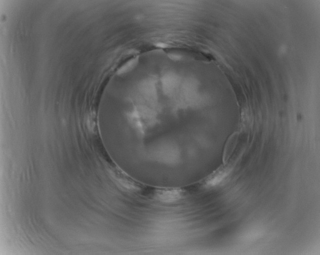 X0000075900671200609221938