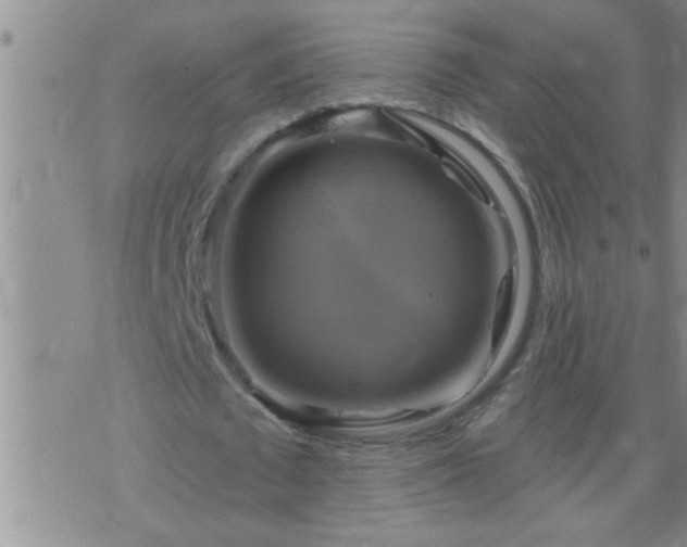 X0000075900673200609221937