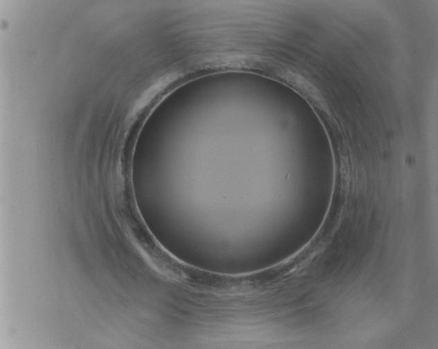 X0000075900674200609221937