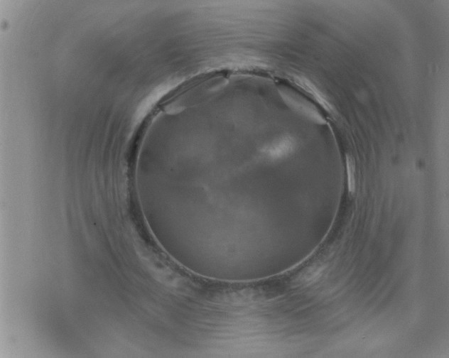 X0000075900675200609221937