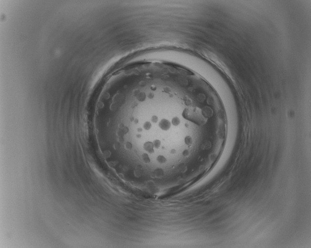 X0000075900676200609221937