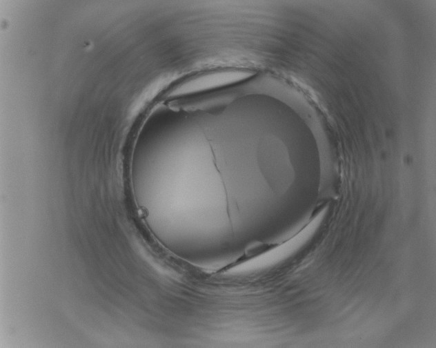 X0000075900678200609221937