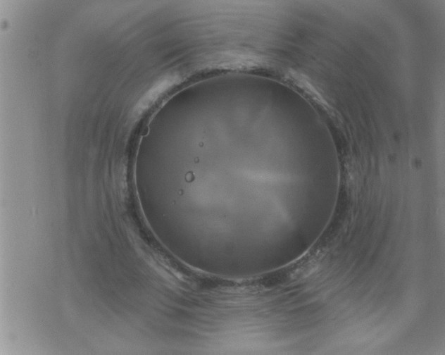 X0000075900679200609221937