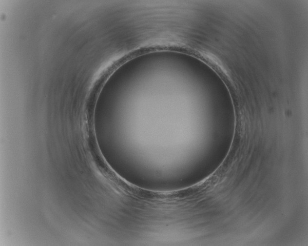 X0000075900680200609221937