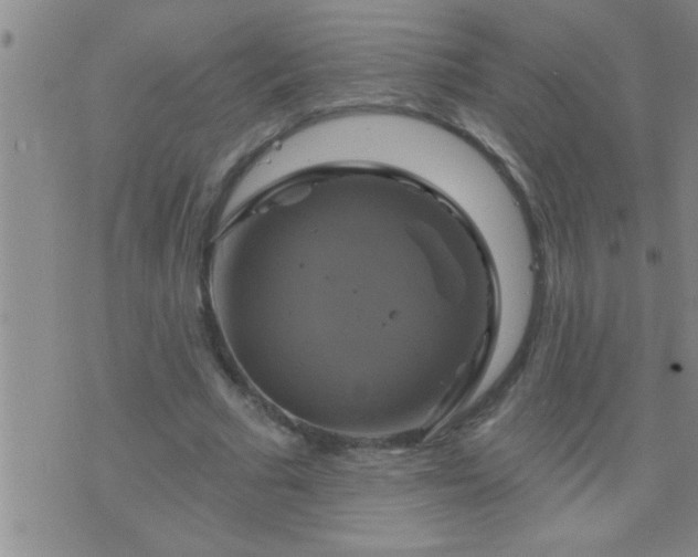 X0000075900681200609221937